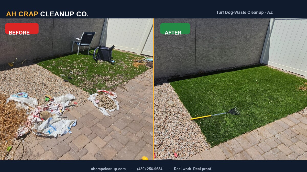 Before and after: dog-waste cleanup on artificial turf in a Chandler backyard, with the turf cleared and raked
