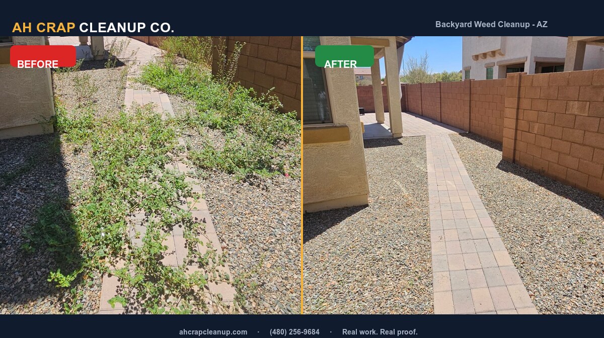 Before and after: backyard weed cleanup in Chandler, Arizona, with an overgrown walkway and rock yard cleared